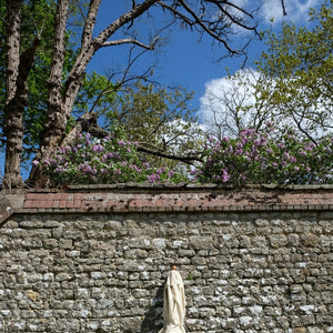 Parasol leaning against stone garden wall